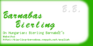 barnabas bierling business card